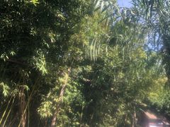 -仁爱团泊湖温泉中心