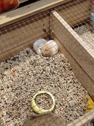 -酷嗒动物文化乐园(cutezoo西溪乐天城店)