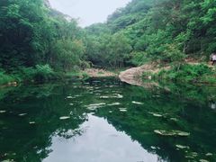 -大连天门山国家森林公园