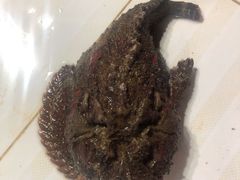 -海盗餐厅