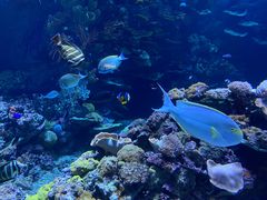 -欢乐海岸海洋奇梦馆