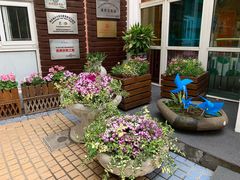 -小风车金桥丽都幼儿园(金桥店)