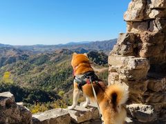 -蟠龙山长城景区