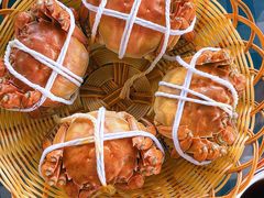 -蟹天蟹地农家菜·阳澄湖大闸蟹(浅水湾店)