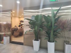 -DX HAIR SALON·发现未知美发沙龙