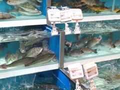 -盒马鲜生(首义店)