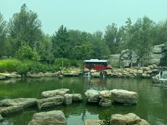 -北京野生动物园