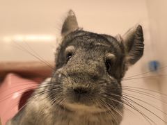 -龙猫仔乐园(惠福东路店)