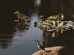 -金砂公园