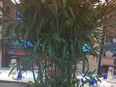 -三江源活鱼现烤(维多利摩尔城店)