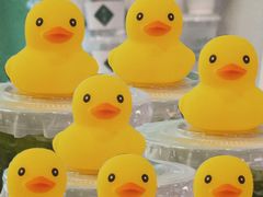 -LINLEE林里·手打柠檬茶(黄浦茂名南路店)