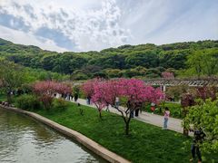 -苏州上方山国家森林公园