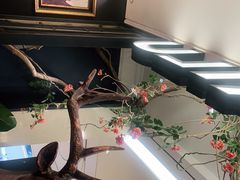 -新白鹿餐厅(爱琴海购物中心店)
