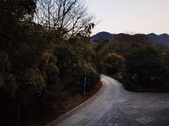 -西院1号(龙井店)