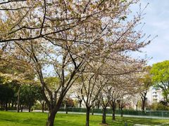 -中共上海市委党校 上海行政学院