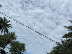 -芦苞胥江祖庙
