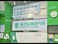 -瑞派动物医院·猫专科·至诚(江南中分院)
