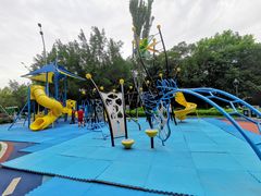 -金鸡山公园