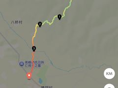 -甘家界柠檬鸭店(高峰林场店)