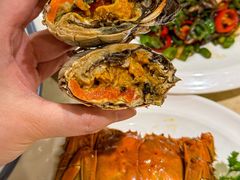 -杨氏青龙虾·羊蝎子(珠江路店)