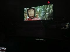 -枫花园汽车电影院(朝阳公园店)