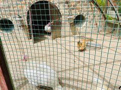 -南宫五洲植物乐园