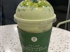 -茉酸奶(春熙路店)