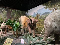 -天津自然博物馆