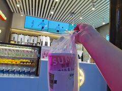 多肉水蜜桃-树夏(锦里店)