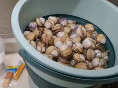 -启东黄金海滩景区