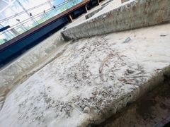 -金沙遗址博物馆