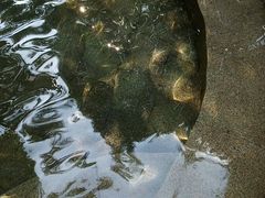 -金穗园温泉酒店