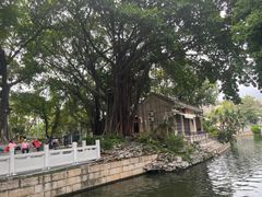 -荔湾湖公园
