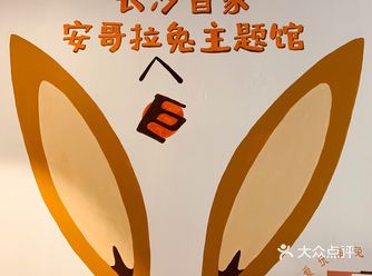 探店小记｜除了撸猫撸狗，还可以撸兔兔