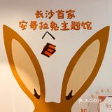 探店小记｜除了撸猫撸狗，还可以撸兔兔