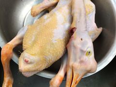 -大圩自在人土鸡场(大圩自在人垂钓店)
