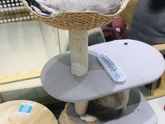 -藏猫猫咖啡主题馆(中央大道店)