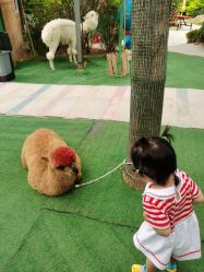 -萌宠亲子动物乐园(槐房万达店)