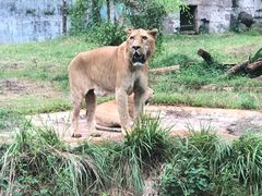 -海南热带野生动植物园