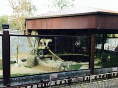 -清迈夜间动物园