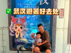 -海合安武汉极地海洋公园
