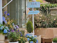 -苏小糖(鼓浪屿三丘田花园店)