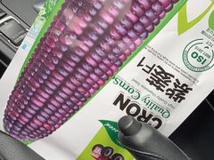 -GANSO元祖食品(双井店)