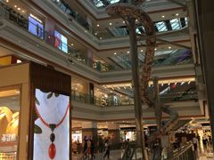 -巴黎春天(浦建店)