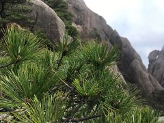 -徽州美食(三十年老店)