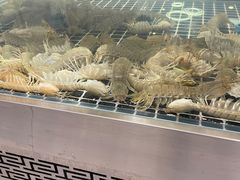 -喜来酌海鲜·饺子(和平一店)