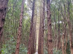 -同里国家湿地公园