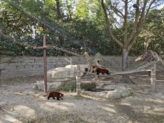 -上海野生动物园