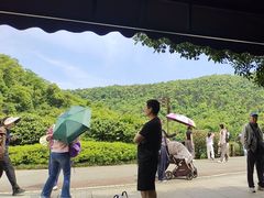 -桃花岭景区