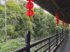 -大唐贡茶院